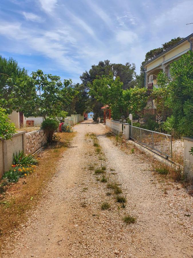 Apartmani Steli Vir Bagian luar foto